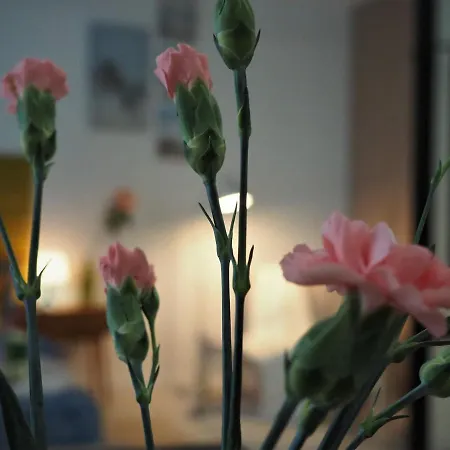 Appartement Amarillo